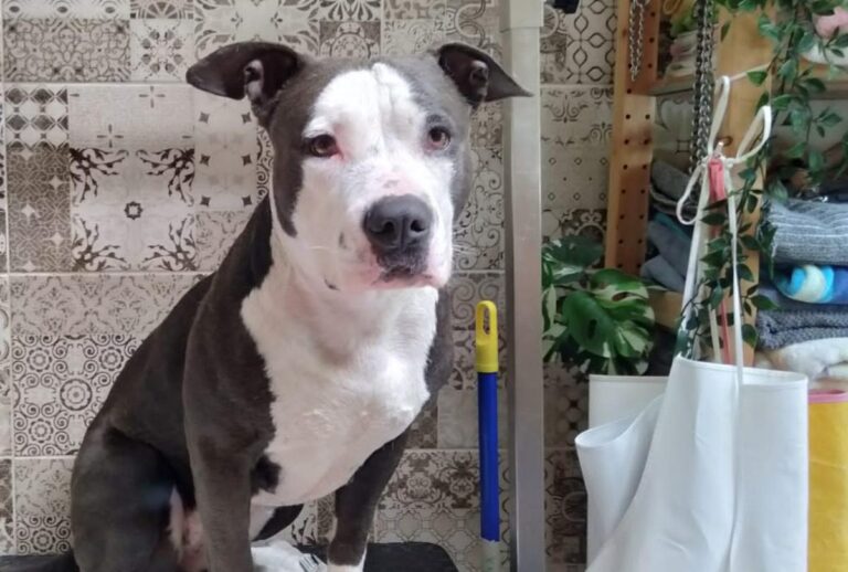 multimedia-foto85850-469-1