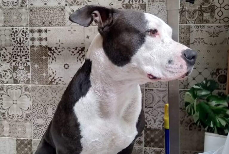 multimedia-foto85851-470-1