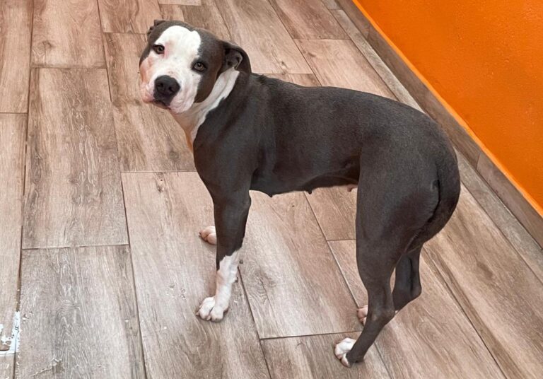 multimedia-foto85852-470-1