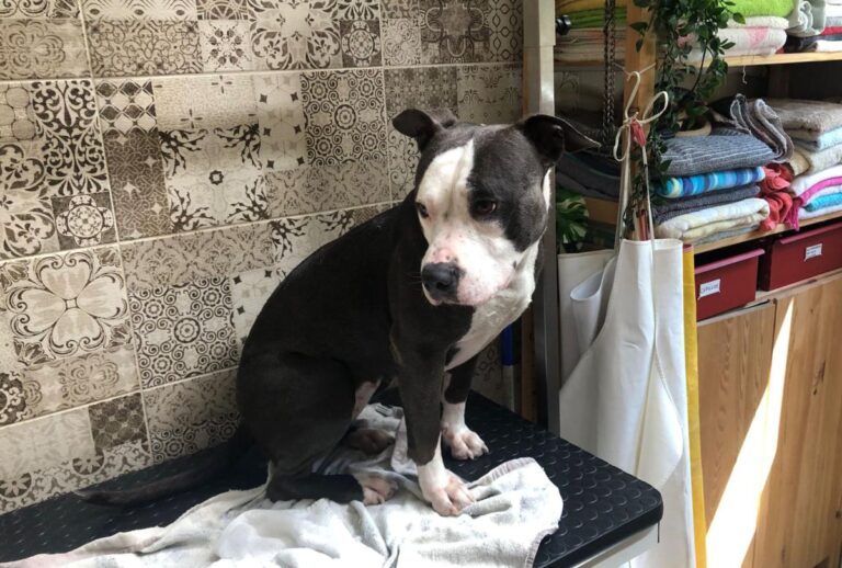 multimedia-foto85853-470-1