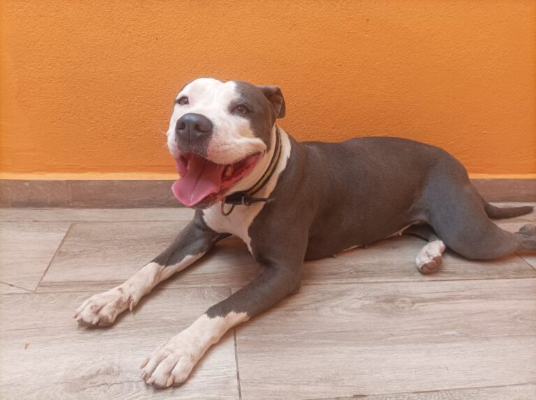 multimedia-foto85854-470-1