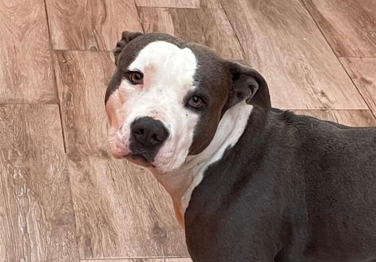 multimedia-foto85855-470-1