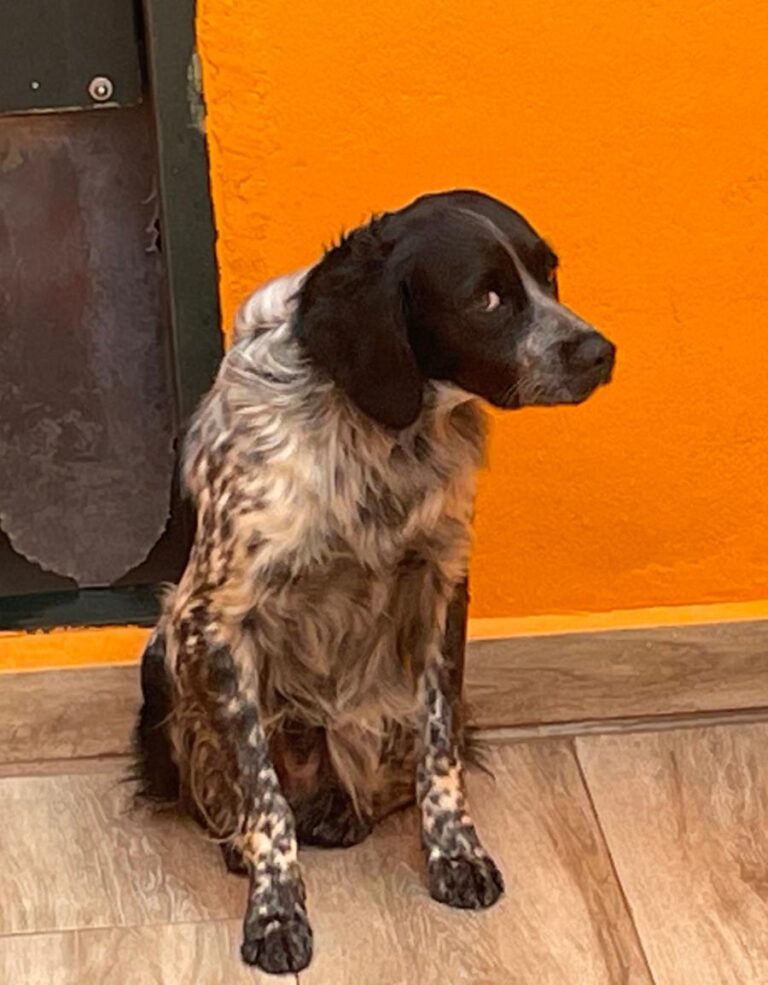 multimedia-foto85863-489-1