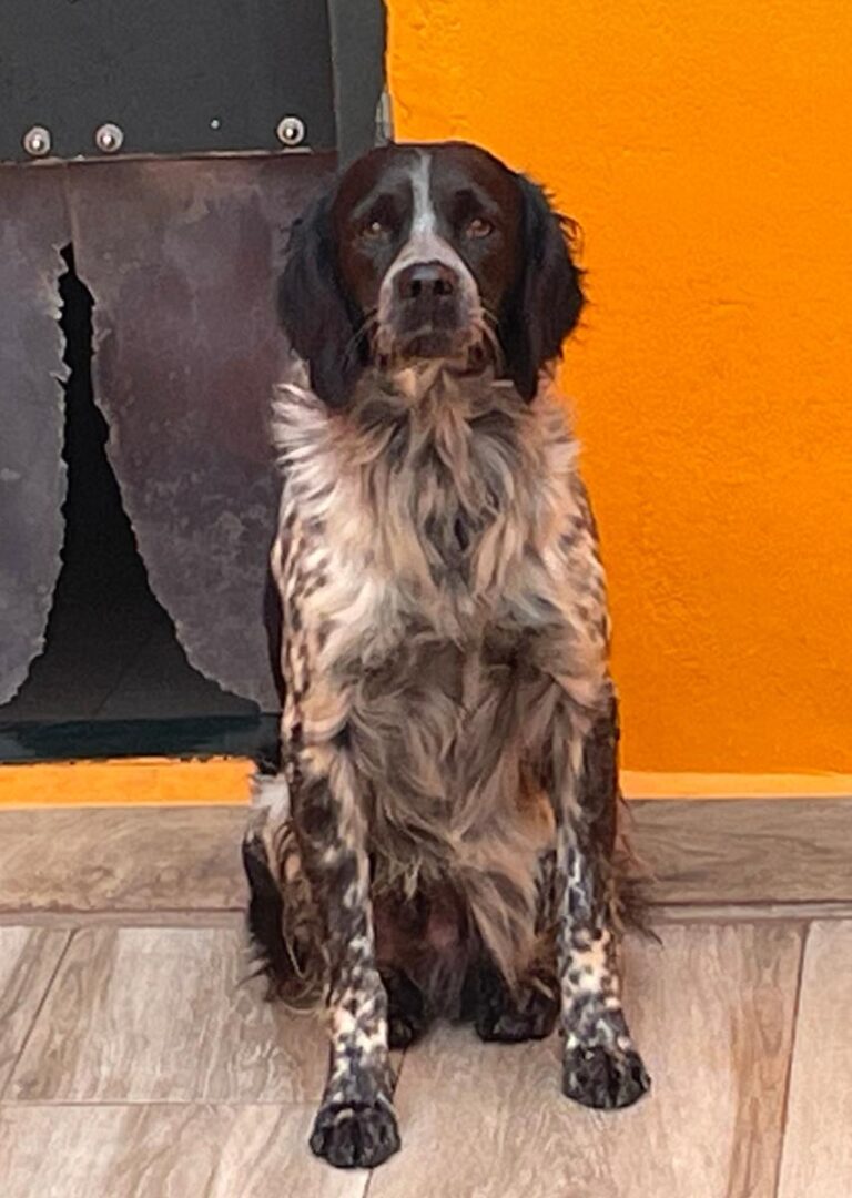 multimedia-foto85864-489-1