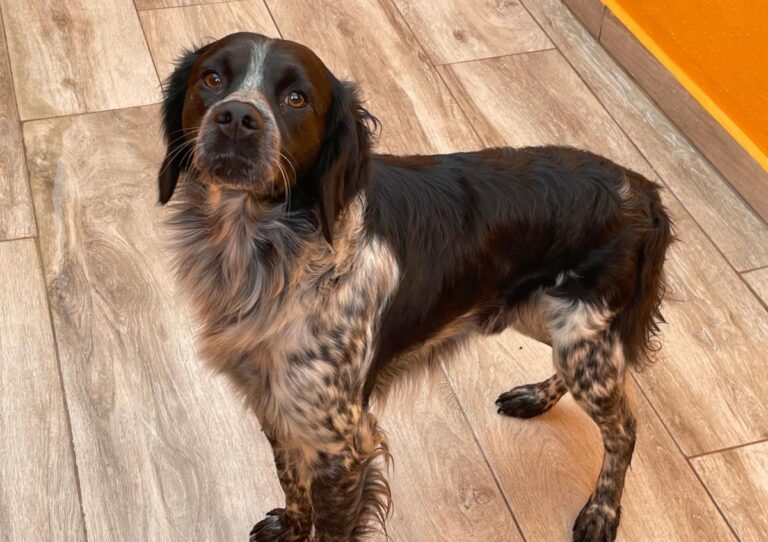 multimedia-foto85867-490-1