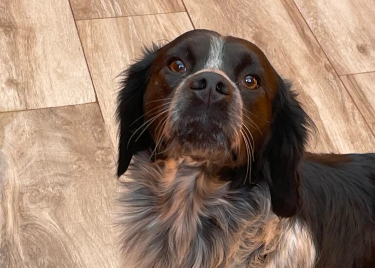 multimedia-foto85868-490-1