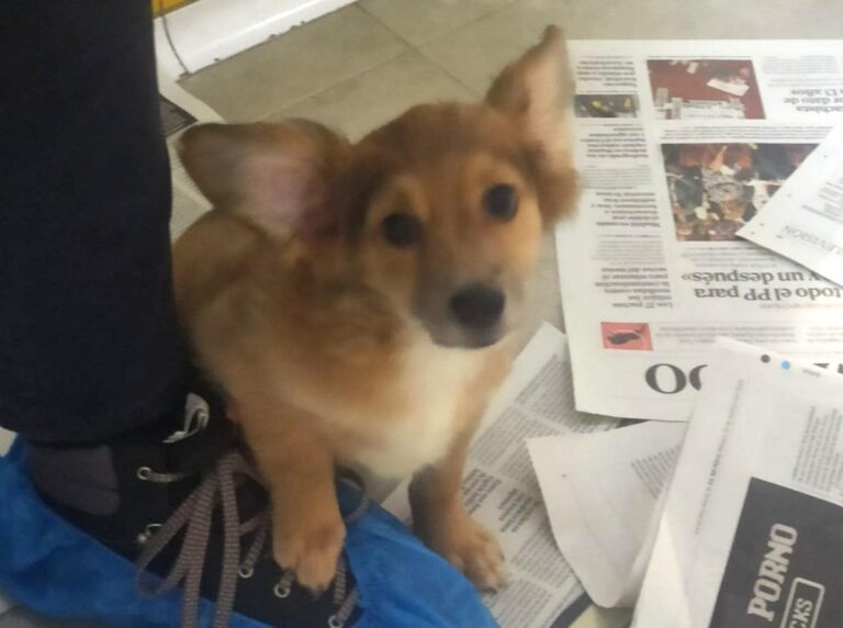 multimedia-foto85898-454-1