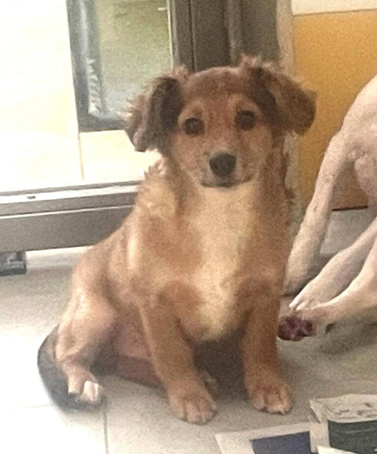 multimedia-foto85899-454-1