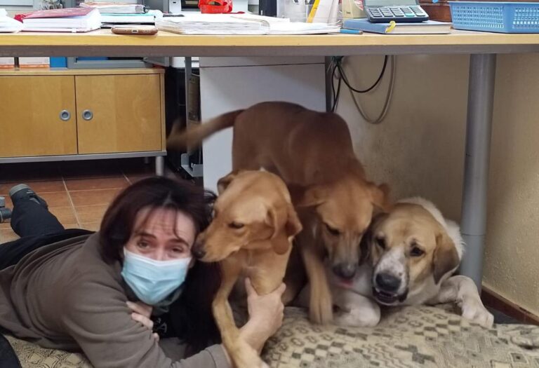 multimedia-foto85905-812-1