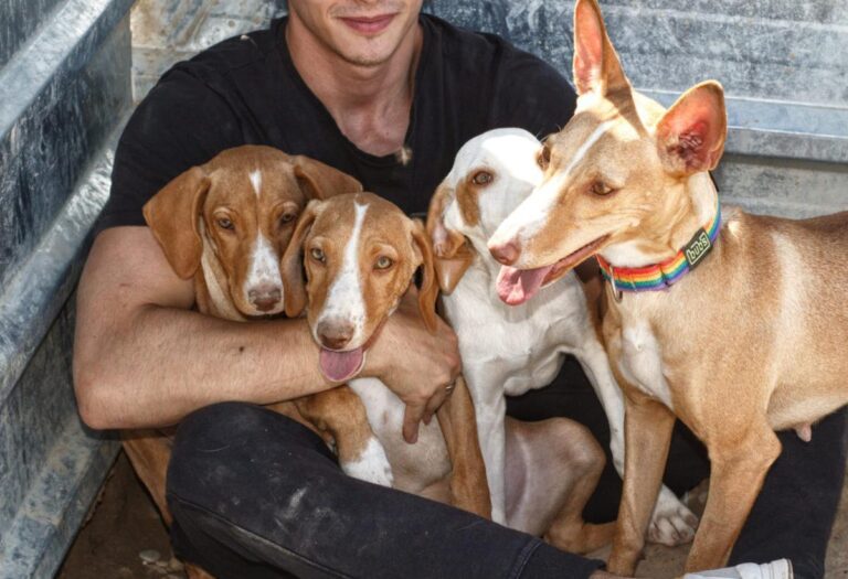 multimedia-foto85965-130-1