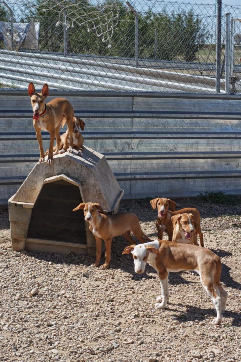 multimedia-foto85967-130-1