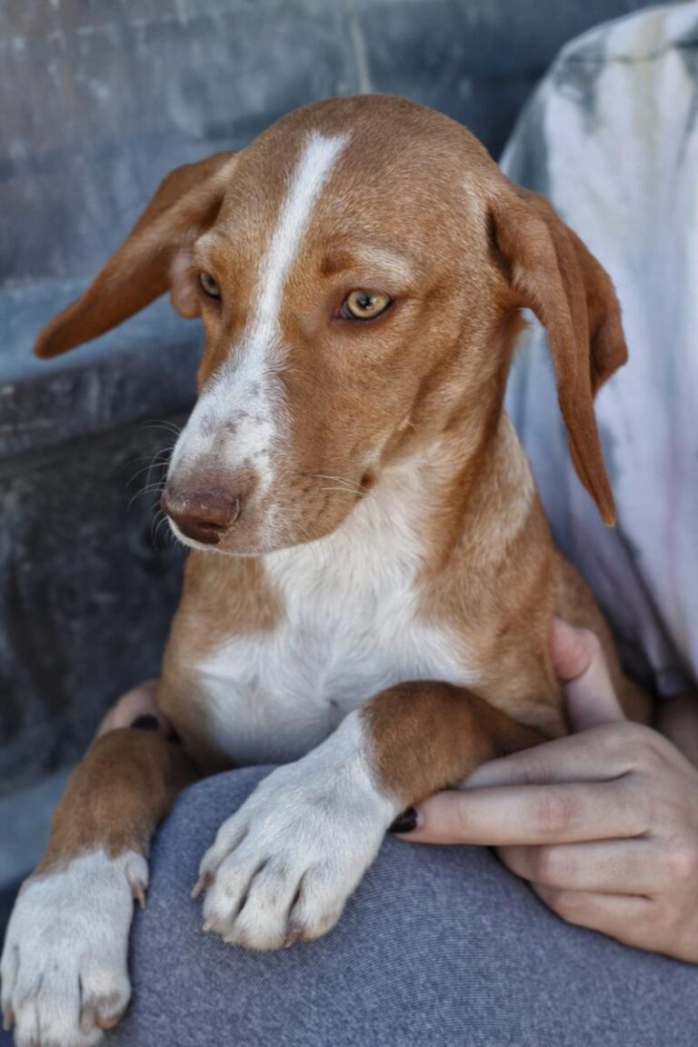 multimedia-foto85969-131-1