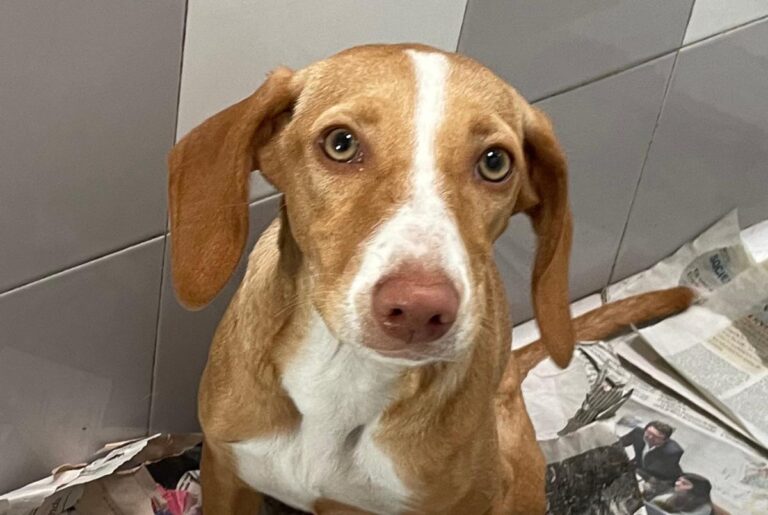 multimedia-foto85972-131-1