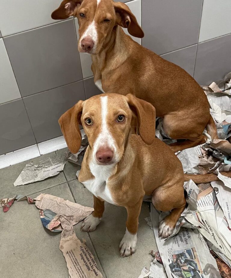 multimedia-foto85973-131-1