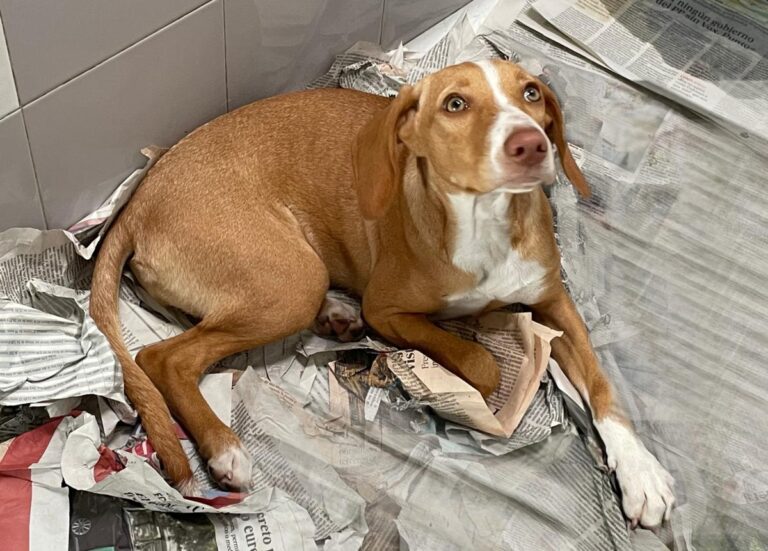 multimedia-foto85974-132-1