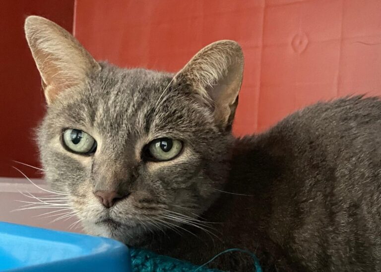 multimedia-foto85983-554-1