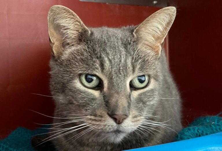 multimedia-foto85984-554-1