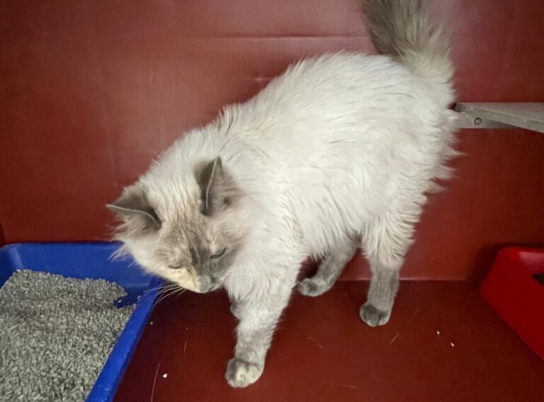 multimedia-foto86025-755-1