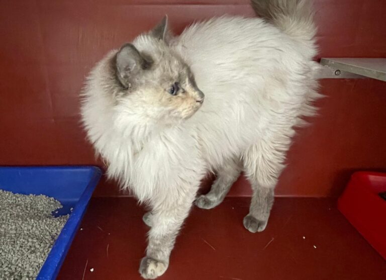 multimedia-foto86026-755-1