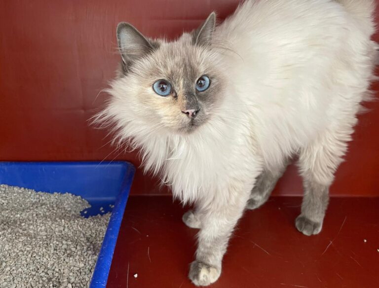 multimedia-foto86027-755-1