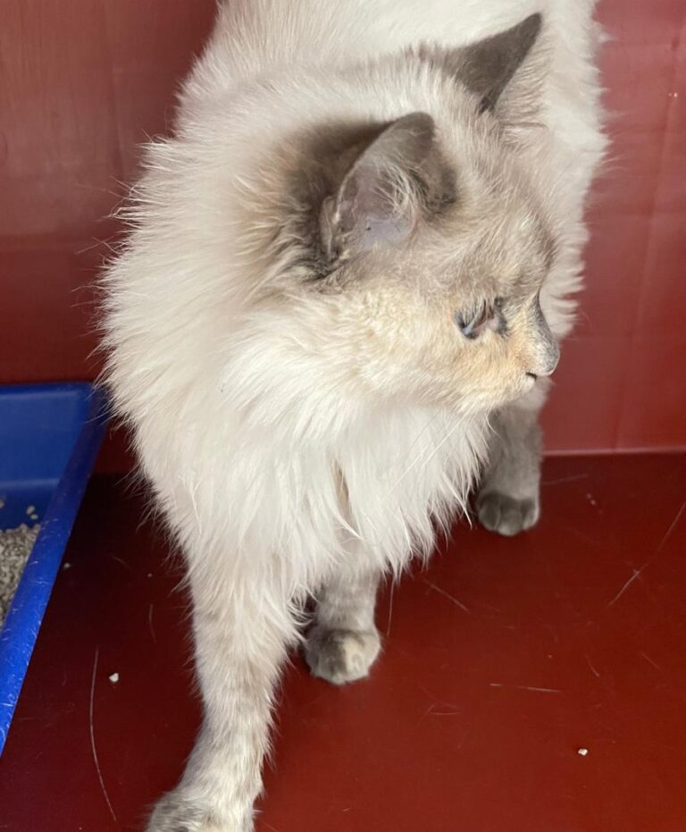 multimedia-foto86029-756-1