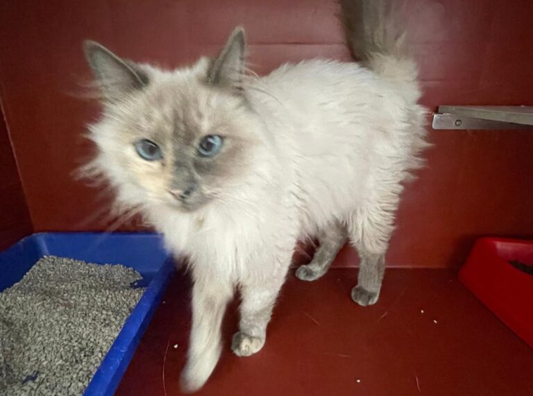 multimedia-foto86030-756-1