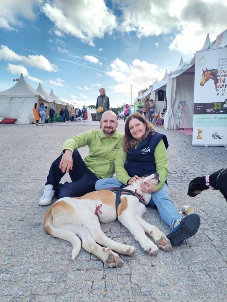 multimedia-foto86036-362-1