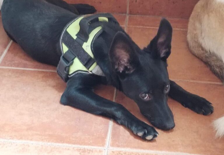 multimedia-foto86054-277-3