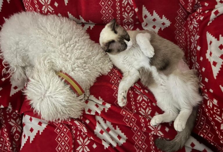 multimedia-foto86055-427-1