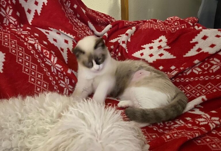 multimedia-foto86058-428-1