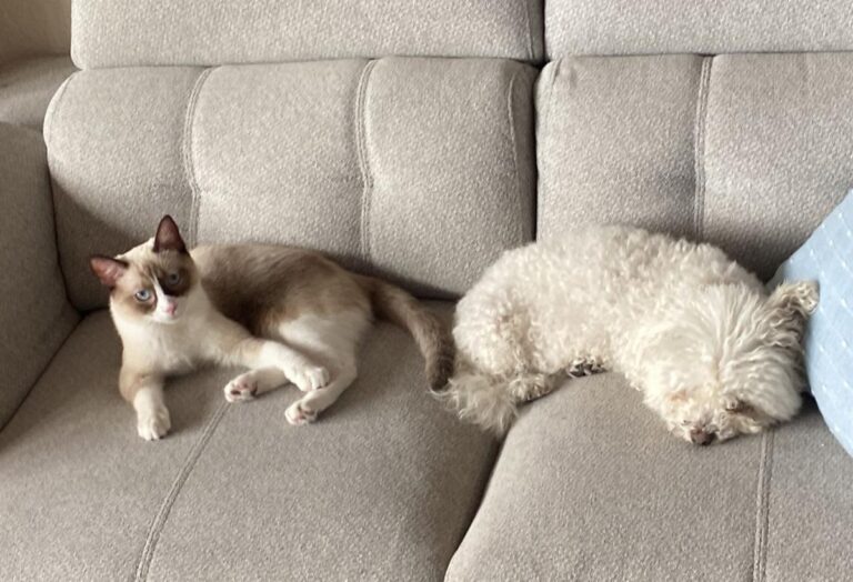 multimedia-foto86059-428-1