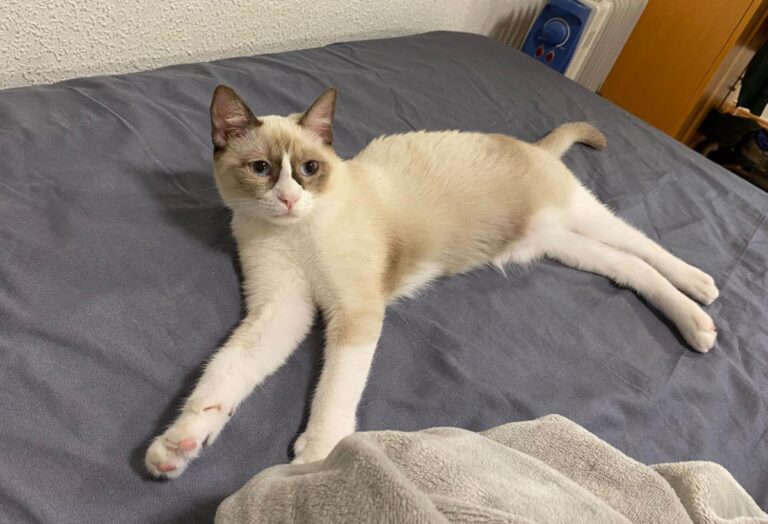 multimedia-foto86060-428-1