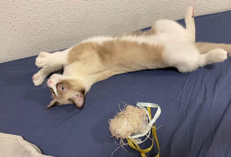 multimedia-foto86061-428-1