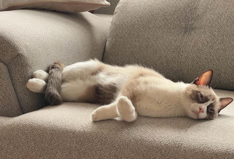 multimedia-foto86062-429-1