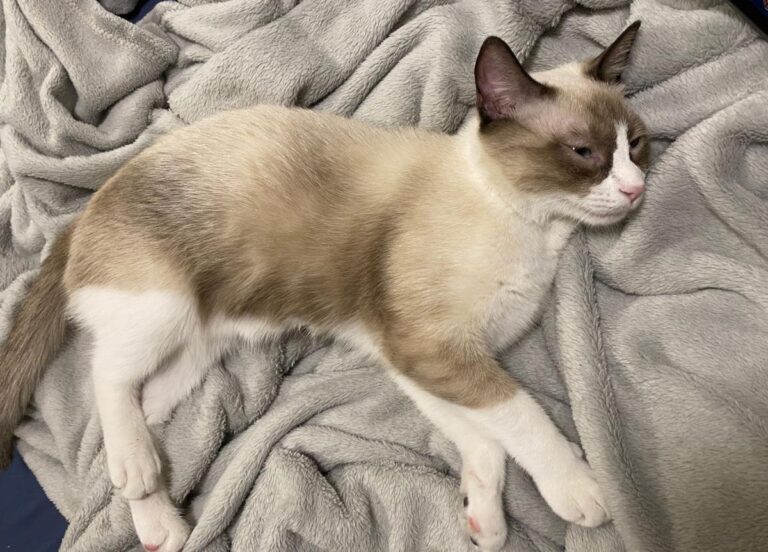 multimedia-foto86063-429-1