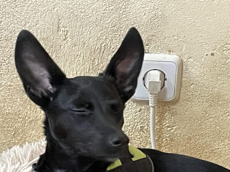 multimedia-foto86064-513-3