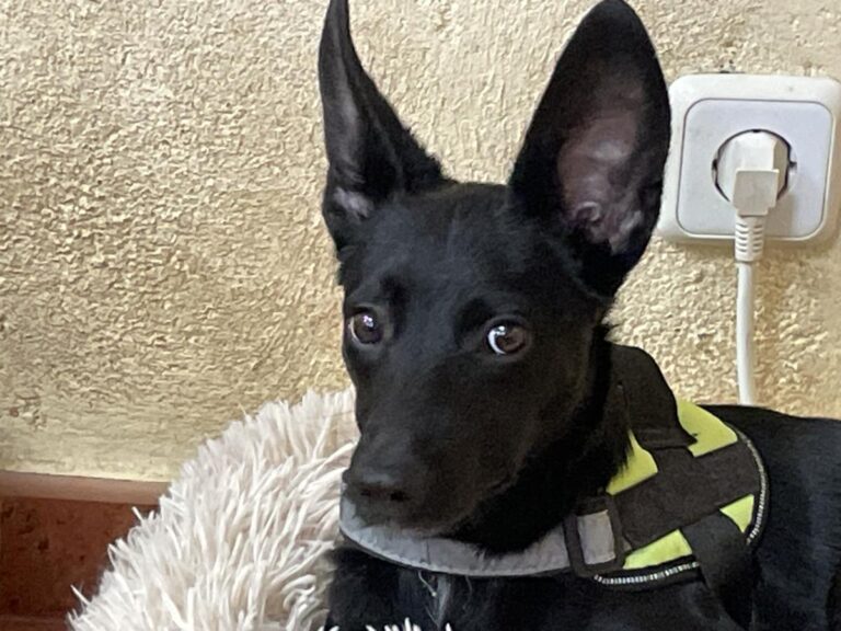 multimedia-foto86066-514-3