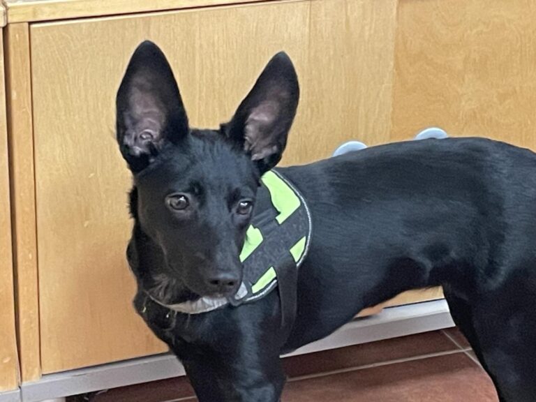 multimedia-foto86067-514-3