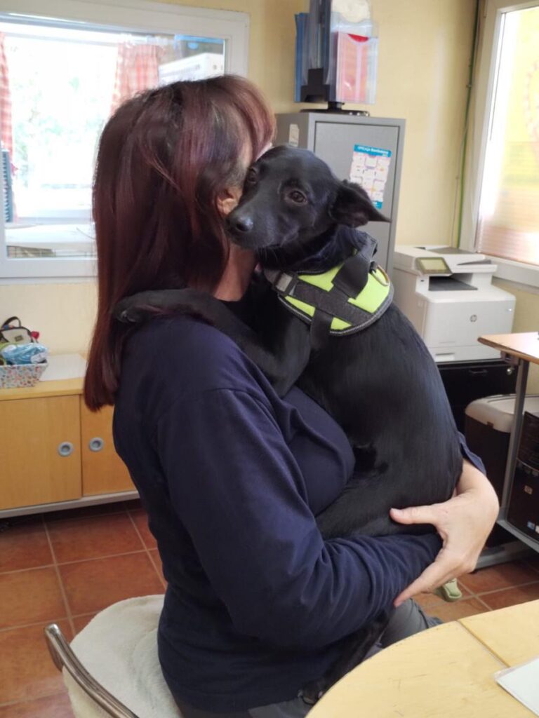 multimedia-foto86068-163-3