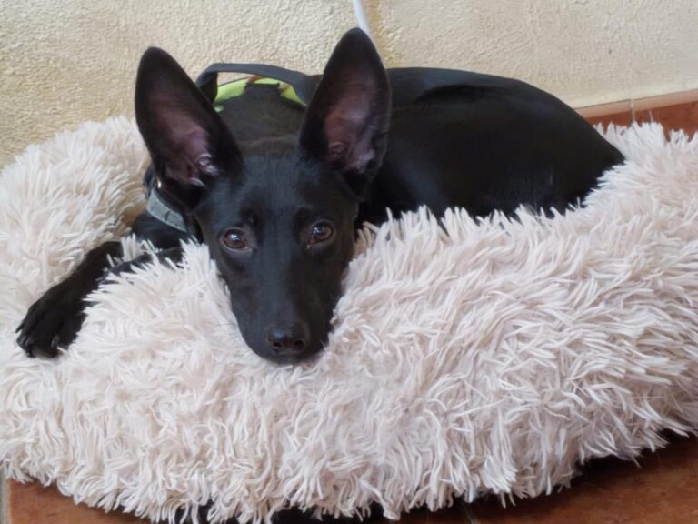 multimedia-foto86069-163-3