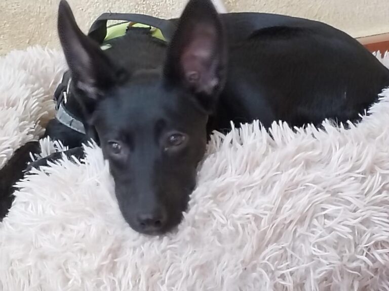 multimedia-foto86070-163-3