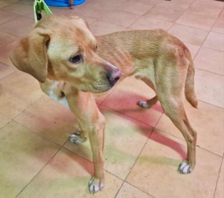 multimedia-foto86071-550-1