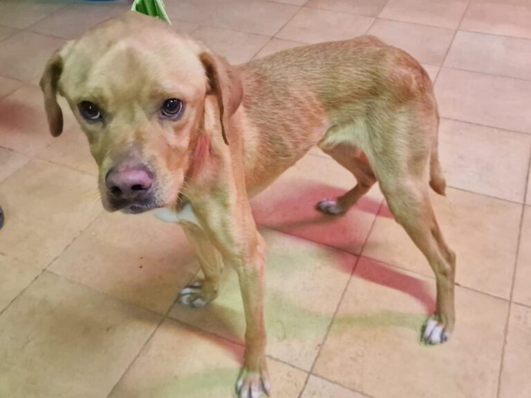 multimedia-foto86072-550-1