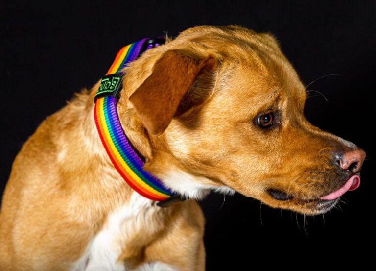 multimedia-foto86074-551-1