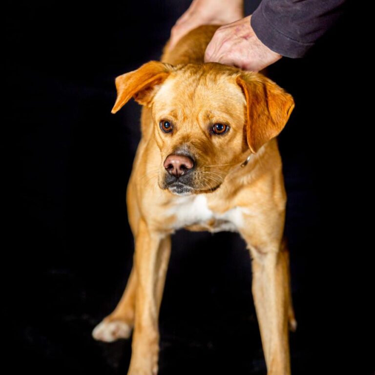 multimedia-foto86075-551-1