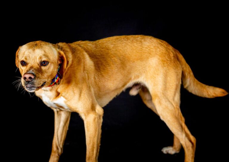 multimedia-foto86076-551-1