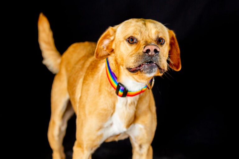 multimedia-foto86077-551-1