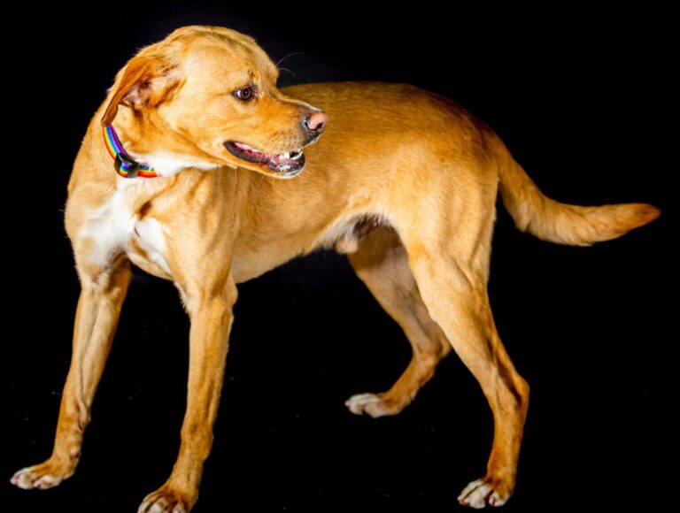 multimedia-foto86078-551-1