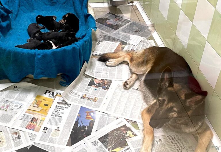 multimedia-foto86082-746-1