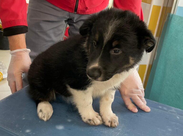 multimedia-foto86102-138-1